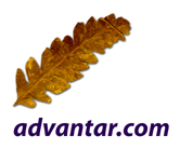 advantar.com